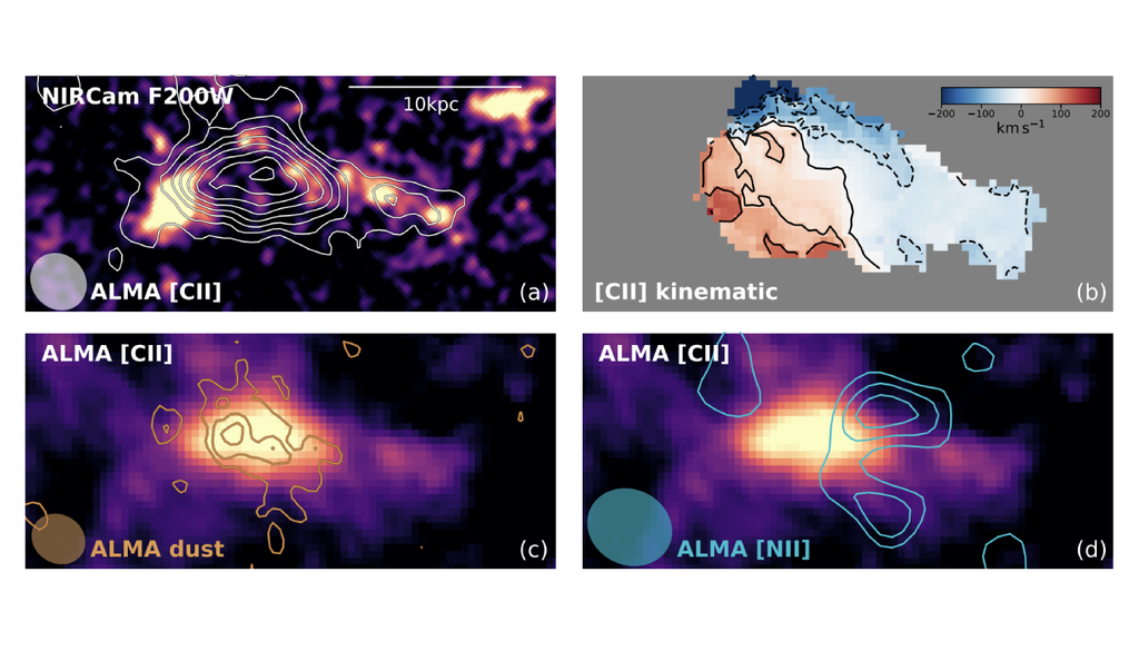 Mesmo no Universo jovem, essa galáxia já parece estar encerrando sua formação estelar, algo considerado incomum pelos astrônomos. Crédito: Zhou et al. Mesmo no Universo jovem, essa galáxia já parece estar encerrando sua formação estelar, algo considerado incomum pelos astrônomos. Crédito: Zhou et al.