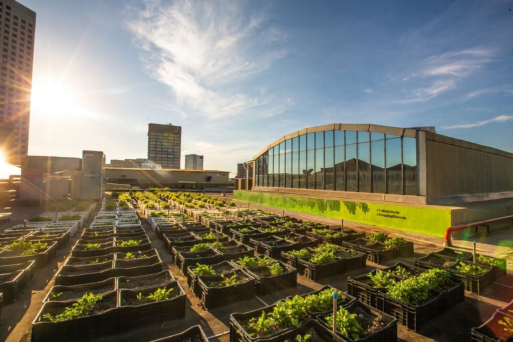 São Paulo, sustentabilidade, adubo, hortas urbanas