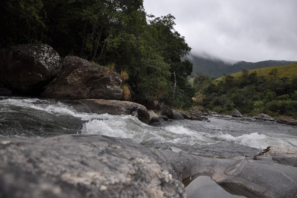 Parc d'État des Trois Pics dans le district de Lumiar, municipalité de Nova Friburgo, RJ, Forêt Atlantique.