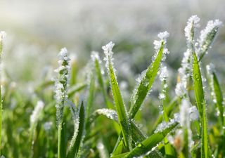 Ar polar ganha força sobre o Sudeste do Brasil: SP, MG e RJ com alerta de geadas nesta quarta-feira