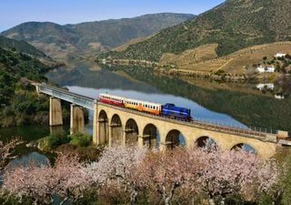 Uma viagem de comboio pelo Douro para ver as amendoeiras em flor? Sim, por favor!