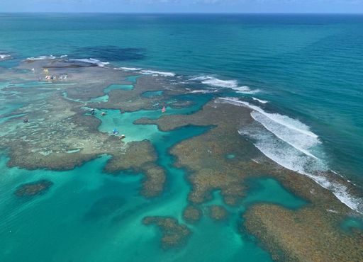 Uma viagem dos sonhos no Nordeste: conheça destino com recifes e piscinas naturais de tirar o fôlego