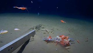 Un abismo m&aacute;s profundo que el Aconcagua: los misterios a&uacute;n por descubrir a 8.000 metros frente a Chile