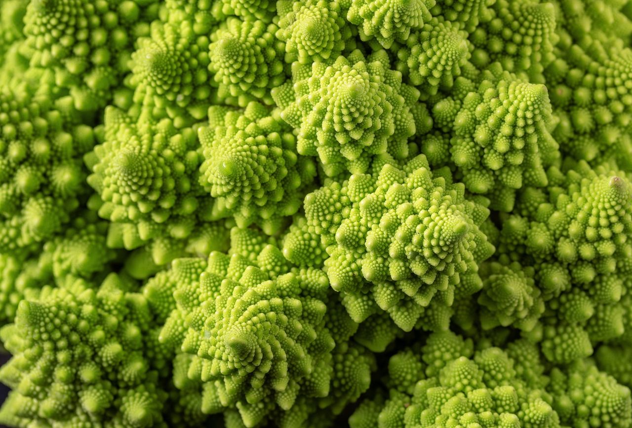 The Hypnotic Secret of Roman Broccoli that Mathematics Can Explain to Us