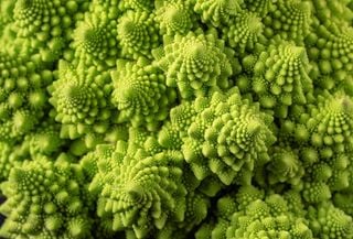O segredo hipnótico do brócolis Romanesco que a matemática pode nos explicar