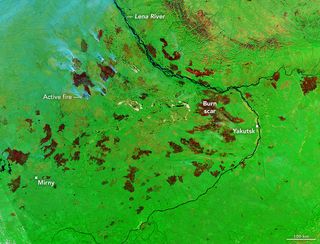 Un año récord para el fuego en Sakha, Rusia Un año récord para el fuego en Sakha, Rusia