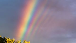 Non &egrave; un doppio arcobaleno: ecco la rara meraviglia degli archi supernumerosi immortalata nel New Jersey