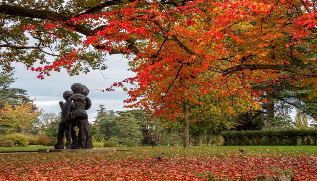 Les couleurs chatoyantes du parc de Blenheim en automne.