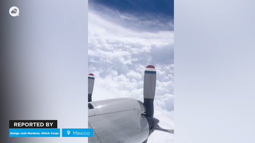 Un avi&oacute;n cazahuracanes de la NOAA se adentr&oacute; en el ojo del devastador Hurac&aacute;n Polo y el video es soprendente