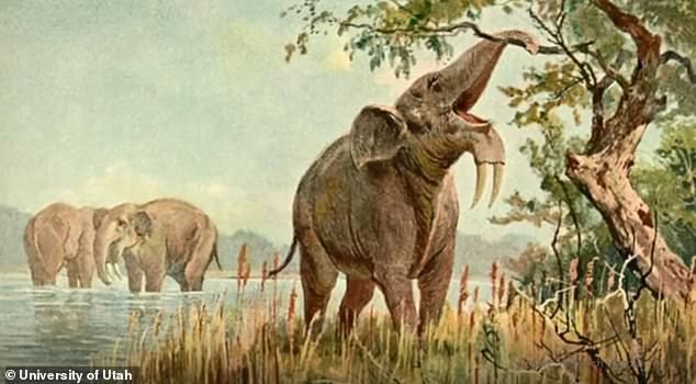 Un Cambio Ambiental Pudo Acabar Con Los Grandes Herbívoros En áfrica Un Cambio Ambiental Pudo Acabar Con Los Grandes Herbívoros En áfrica