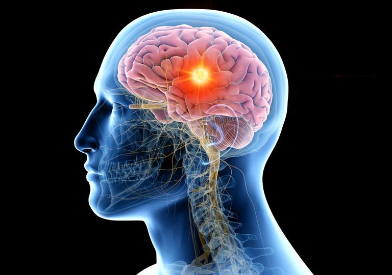 Un cervello più giovane garantisce una vita più lunga, la scoperta che rivoluzionerà la longevità