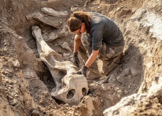 ¡Descubren en Argentina uno de los dinosaurios más antiguos del mundo!