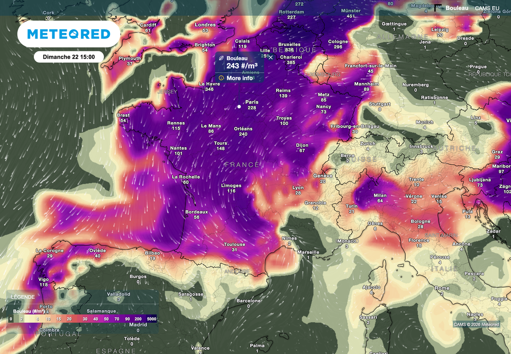 Des pollens d'autant plus présents là où les précipitations sont absentes.