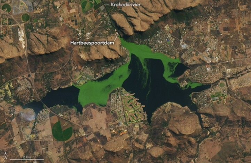 Un embalse de agua dulce transforma sus colores azules en verdes debido a la proliferaci&oacute;n de algas de forma descomunal