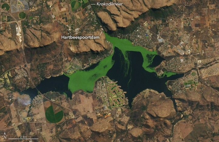 Un embalse de agua dulce transforma sus colores azules en verdes debido a la proliferaci&oacute;n de algas de forma descomunal