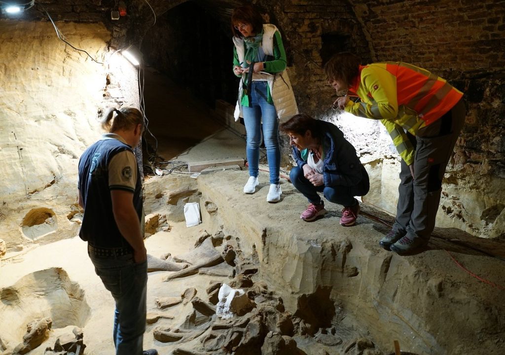 yacimiento, arqueologia