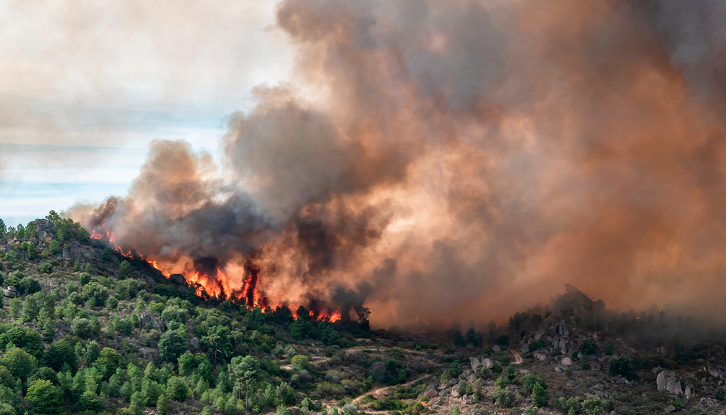 No hay una única causa detrás de los grandes incendios forestales.