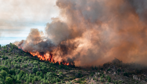 Cient&iacute;ficos del PIK advierten de que el &aacute;rea quemada por incendios en Europa casi se triplicar&aacute; a finales de siglo