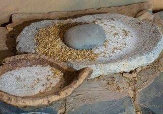 Unos biólogos de la UPenn revelan en Nature que los primeros agricultores de Europa vinieron de Oriente Próximo