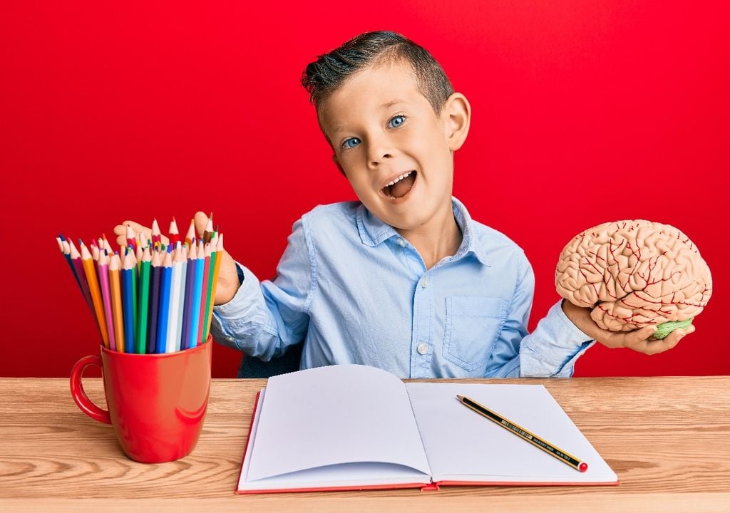 Niño con cerebro en la mano, sentado frente a escritorio con lápices y cuaderno, fondo rojo