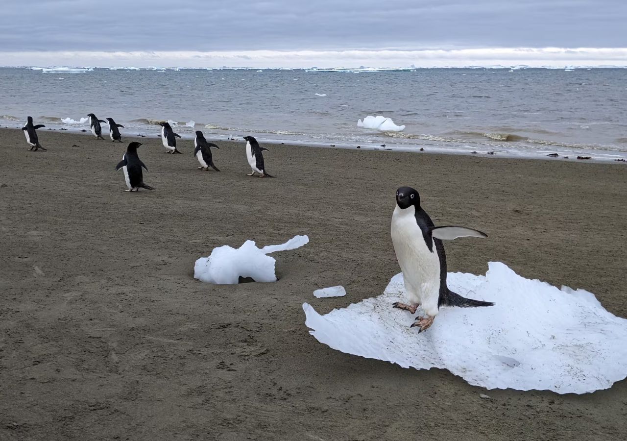 Rita porcu pussy i was pleased she matched her pics and she