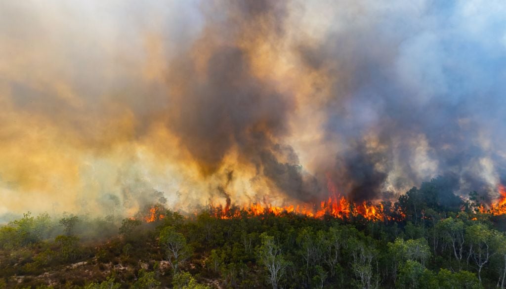 Los mega-incendios forestales están agravados por el cambio climático antropogénico según WWA