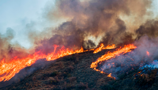 Unos cient&iacute;ficos de WWA: el cambio clim&aacute;tico ha multiplicado por 20 el riesgo de sufrir incendios devastadores en Espa&ntilde;a