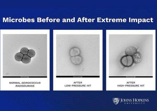 Un estudio sobre microbios respalda la idea de que la vida se pudo desplazar entre planetas en condiciones extremas