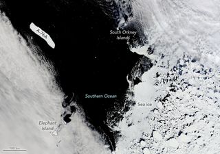 Un gran iceberg se mueve sobre aguas del Pasaje de Drake