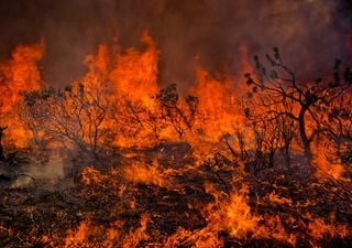 Un grupo de científicos revela las causas de los grandes incendios de España en 2025: no es solo el cambio climático