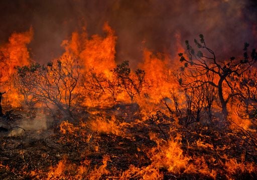 Un grupo de cient&iacute;ficos revela las causas de los grandes incendios de Espa&ntilde;a en 2025: no es solo el cambio clim&aacute;tico