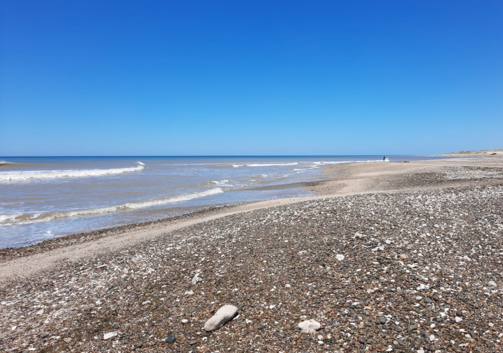 Centinela del Mar Centinela del Mar es el único sitio donde se encuentra la lagartija de las dunas, considerada Monumento Natural de la Provincia de Buenos Aires. Foto: @VILLAJOSE7300