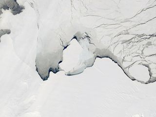 Un iceberg de 1580 kilómetros cuadrados se desprende de la Antártida