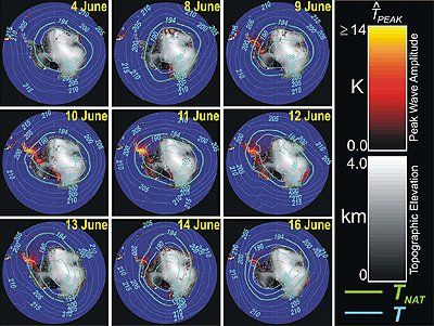 ESAVista de ondas de montaña de la Antártida y de las temperaturas del trihidrato de ácido nítrico (nitric acid trihydrate, NAT) para 2003. Ver más detalles en el texto. Crédito ESA.Las nubes estratosféricas polares (Polar Stratospheric Clouds, PSCs) se han convertido en el foco de muchos proyectos de investigación en años recientes debido al descubrimiento de su papel en el agotamiento del ozono pero aspectos esenciales de estas nubes siguen siendo un misterio.MIPAS, Michelson Interferometer for Passive Atmospheric Sounding, un instrumento a bordo del satélite Envisat de la ESA, está permitiendo que los científicos ganen en información sobre estas nubes necesarias para modelar la pérdida del ozono. "MIPAS es único en sus posibilidades para detectar nubes estratosféricas polares puesto que es el primer instrumento con la capacidad de observar estas nubes continuamente sobre las regiones polares especialmente durante la noche polar," dijo Michael Höpfner de Forschungszentrum Karlsruhe de Alemania.Usando datos recogidos por MIPAS, un instrumento diseñado en Alemania que observa la atmósfera en la gama infrarroja media, Höpfner y otros científicos descubrieron una cinta de nubes estratosféricas de trihidrato de acido nítrico (NAT) que se desarrollaban en la noche polar sobre el Antártida en 2003 cerca de un mes después del primer PSCs, que estaban compuestas de cristales del agua.Hay dos tipos de nubes estratosféricas polares: Las de tipo I contienen gotitas hidratadas del ácido nítrico y de ácido sulfúrico, mientras que las nubes de tipo II consisten en cristales de hielo relativamente puros de agua.La presencia de NAT fue detectada debido a la capacidad de MIPAS de analizar las concentraciones atmosféricas de más de 20 gases, incluyendo el ozono así como los agentes contaminadores que lo atacan."Esta ha sido la primera evidencia de la existencia de nubes estratosferitas polares de NAT a gran escala," afirmó Höpfner. Las partículas NAT, que contienen tres moléculas de agua y una molécula de ácido nítrico, realzan el potencial para la destrucción del ozono en regiones polares.La perdida de ozono es causado por la presencia de agentes contaminantes artificiales en la atmósfera tal como la clorina, originada de los agentes contaminadores artificiales como los CFCs. Durante el invierno del hemisferio sur, las temperaturas caen a niveles muy bajos que hacen que los productos químicos en la estratosfera, que está en oscuridad completa durante el invierno, se congelen para formar las nubes estratosferitas polares que contienen la clorina.Ahora prohibidas bajo el protocolo de Montreal, los CFCs fueron una vez utilizados extensamente en latas y refrigeradores - y no han desaparecido del aire. Los CFCs son inertes, pero la radiación ultravioleta en la alta atmósfera los rompe en sus componentes, que pueden ser altamente reactivos con el ozono.Mientras que llega la primavera polar, la luz del sol crea reacciones químicas en las PSCs responsable de convertir formas benignas de clorina en radicales altamente reactivos del ozono que estimulan el agotamiento de dicho gas. Una sola molécula de clorina tiene el potencial de romper miles de moléculas de ozono. Las nubes estratosferitas polares de NAT realzan el potencial para la activación de la clorina y puede también sedimentarse y eliminar el nitrógeno de la estratosfera más baja, causando un proceso conocido como desnitrificación, que retarda la vuelta de la clorina a su forma inactiva y permite para que la destrucción del ozono continúe.Höpfner y su equipo podían explicar la formación repentina de PSCs en 2003 por perturbaciones de la temperatura en ondas sobre la península Antártica y las montañas de Ellsworth, sugiriendo un papel más significativo de las ondas de montaña en la formación de PSCs del Antártico de lo que previamente se pensaba.Según Höpfner, la presencia de los PSCs podría intensificarse en el futuro debido al cambio climático global donde la superficie de la tierra estuviera más cálida debido a los gases invernadero pero la estratosfera se enfría, proporcionando un ambiente en el cual las nubes se pueden formar. Un aumento en las PSCs podía contrariar la recuperación de la capa de ozono.Aunque los esfuerzos científicos se han centrado en la determinación de la composición de PSCs y de sus mecanismos de la formación, el proceso que causa el agotamiento del ozono está lejos de ser entendido. Para ganar una mejor comprensión del agotamiento del ozono, los científicos deben continuar obteniendo y analizando los datos que permitan medir la especie dominante implicada en el proceso.Más en el portal de la ESA:http://www.esa.int/esaEO/SEMBZNNFGLE_planet_0.html