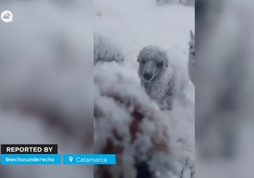 Un intenso temporal de nieve bloquea caminos de alta monta&ntilde;a en Catamarca con temperaturas de hasta -27 &deg;C