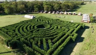 Un laberinto natural de cipreses a 70 km de Buenos Aires: la escapada bonaerense perfecta para un fin de semana