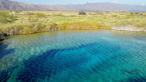 Un lago mexicano esconde organismos capaces de vivir en condiciones parecidas a las de la Tierra primitiva
