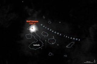 Un "lobo" despierta por la noche