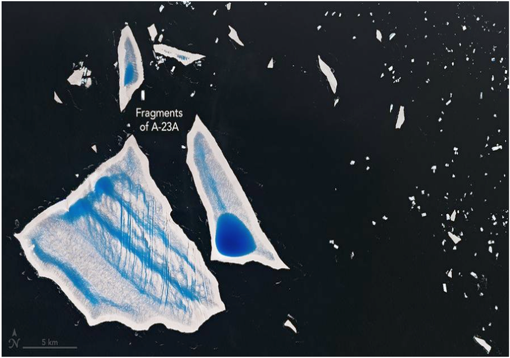 Una vista más detallada de grandes fragmentos de A-23A muestra charcas y canales de fusión distintivos en las superficies de icebergs de forma irregular, contra las oscuras aguas del océano. Docenas de icebergs mucho más pequeños se encuentran dispersos alrededor de los icebergs más grandes, especialmente en el lado derecho de la imagen del Landsat-8. NASA