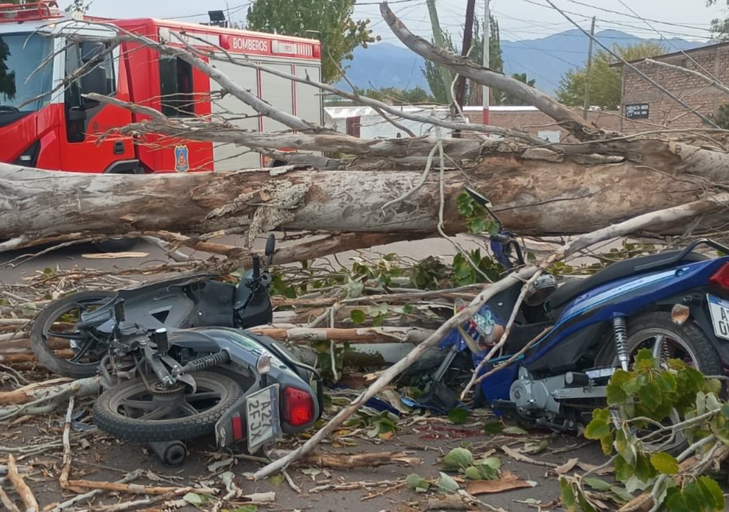 Un motociclista murió en Mendoza luego de que, por el Zonda, una rama cayera y lo aplastara. Foto: X @MATIASPASCUALETTI