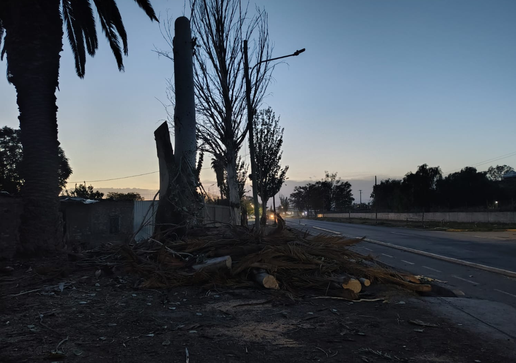 En Mendoza hubo, al menos, 50 intervenciones de emergencia por las consecuencias del viento Zonda. Foto: X @radiomitremza