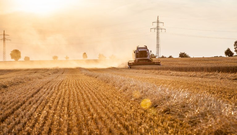 &iquest;Un mundo sin cosechas? El dr&aacute;stico reporte de la OMM sobre el l&iacute;mite de nuestros sistemas agr&iacute;colas