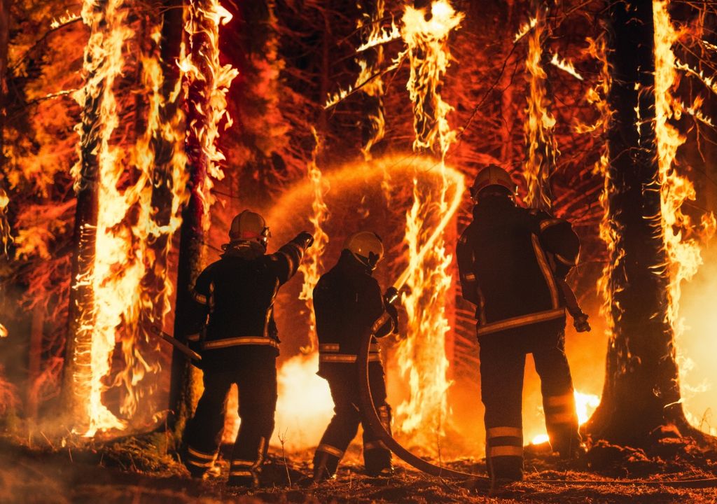 Incendios forestales riesgo fuego