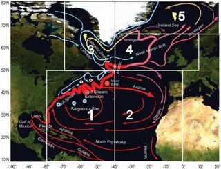 Un nuevo estudio documenta la desaceleración de las corrientes atlánticas, entre ellas la AMOC