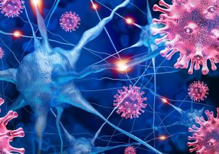 La Universidad de Pittsburgh en Cell Reports: podría haber un sorprendente vínculo entre este virus común y el Alzheimer