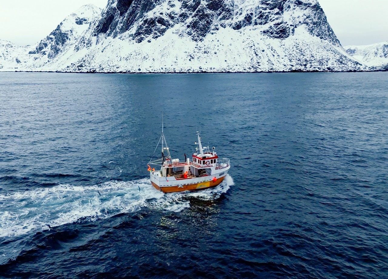 L'océan Arctique totalement dépourvu de glace ? Un évènement qui semble inimaginable mais qui pourrait pourtant se produire dans les prochaines années.