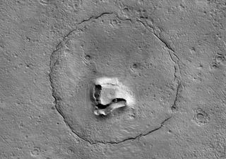 Um urso? Capturam uma simpática imagem na superfície de Marte