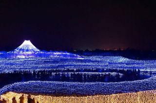 Un parque que se debe ver por la noche