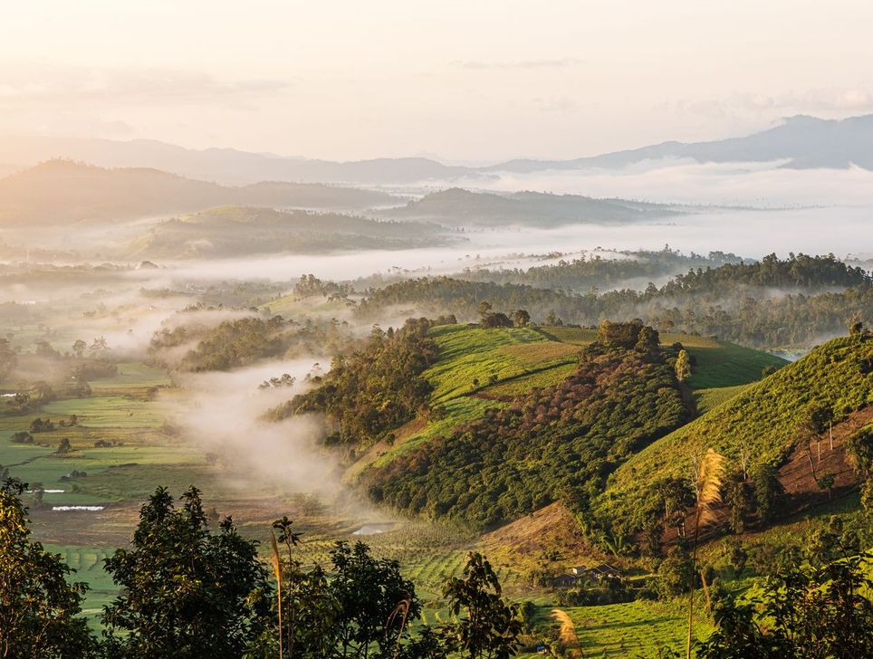 Bancos de niebla Bancos de niebla