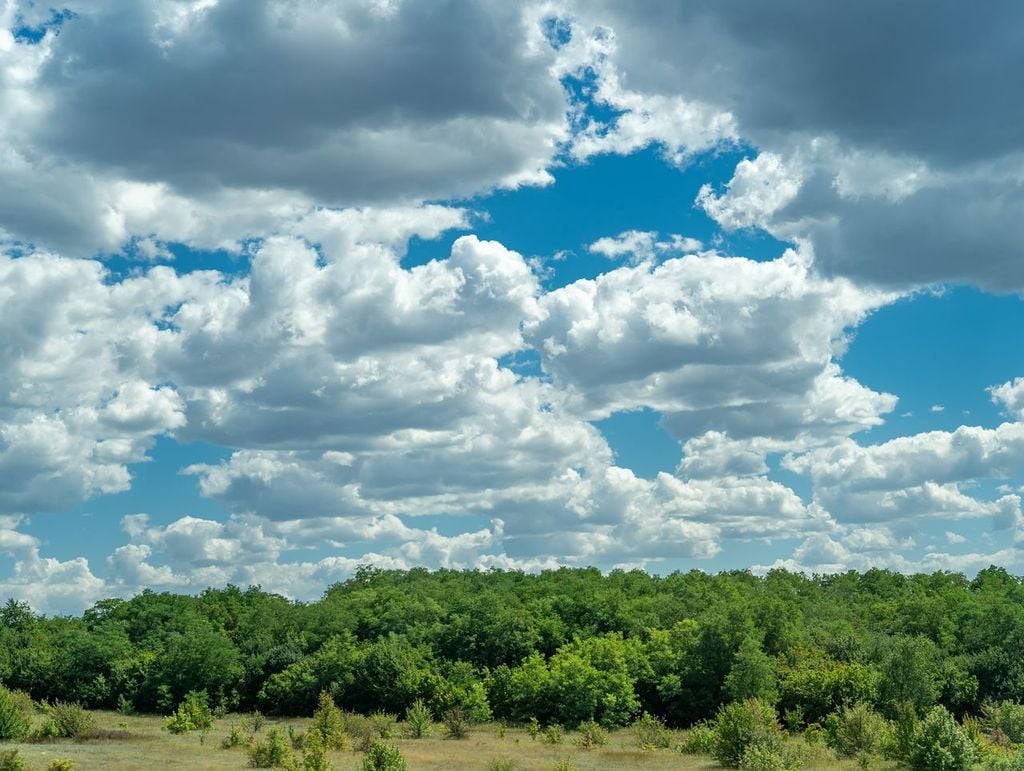 Cuando los cúmulos alcanzan un estado intermedio de crecimiento (Cumulus mediocris), comienza a dominar en ellos las tonalidades grisáceas en sus bases.